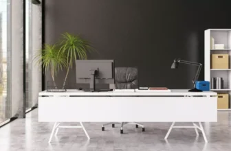 What Are the Best Desk Accessories for Productivity?