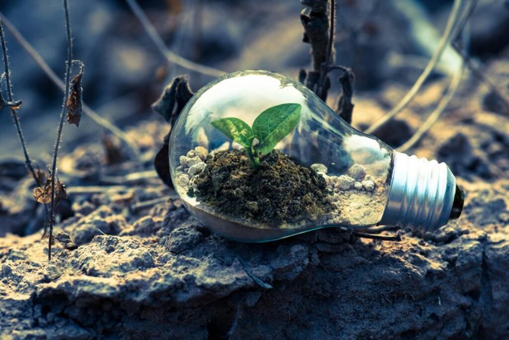 What Are Some Creative Ideas for Outdoor Lighting? What Are Some Creative Ideas for Outdoor Lighting?